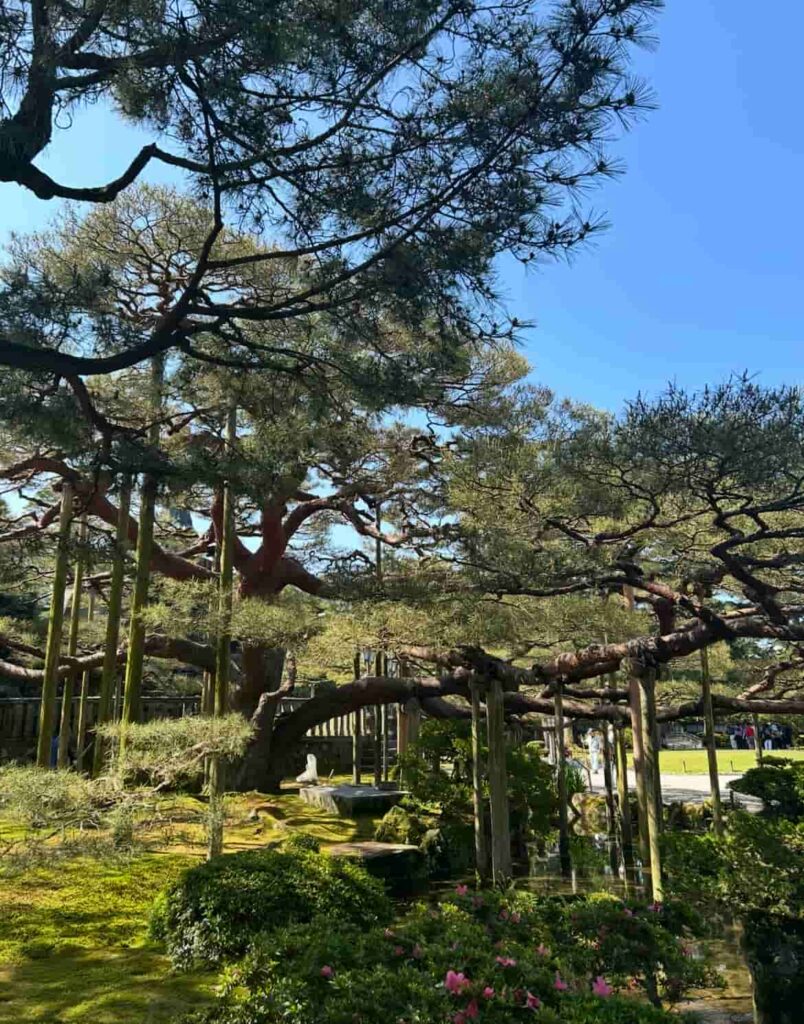 兼六園