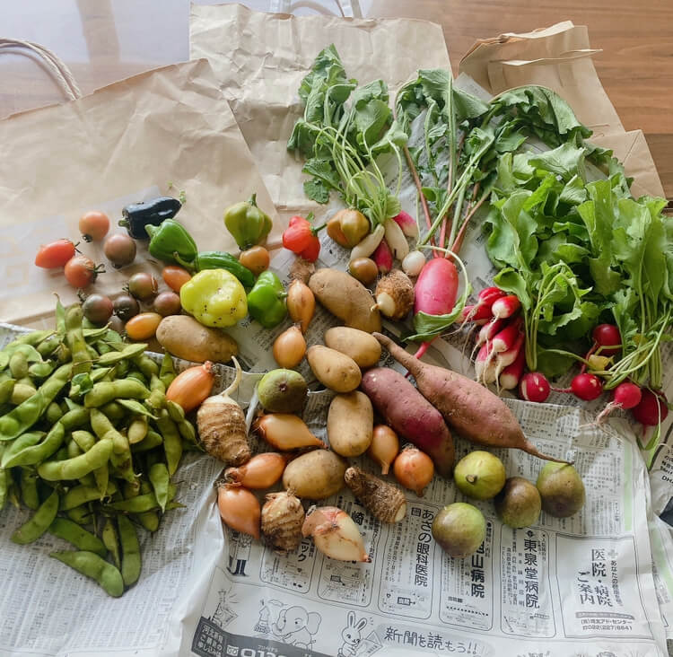 村岡農園の土曜野菜市で購入できた野菜